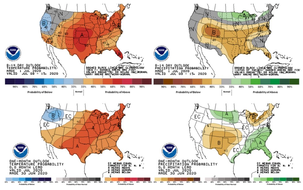 The 8-14 day and one-month outlooks 